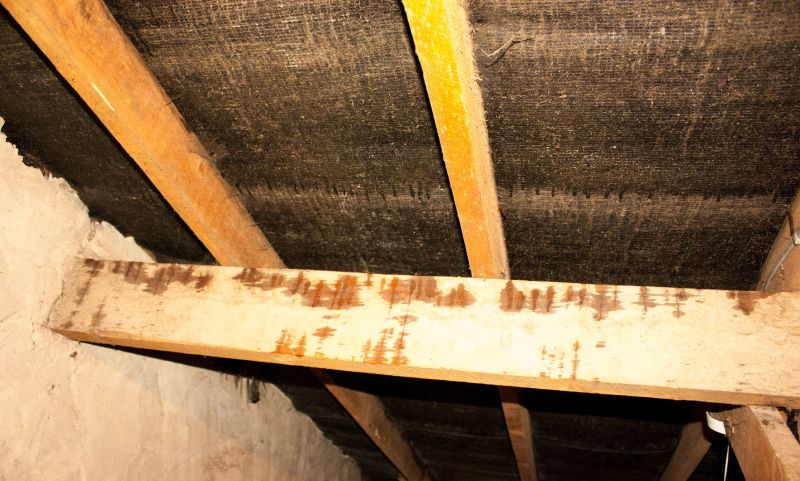 Home Restoration in Denver County, CO